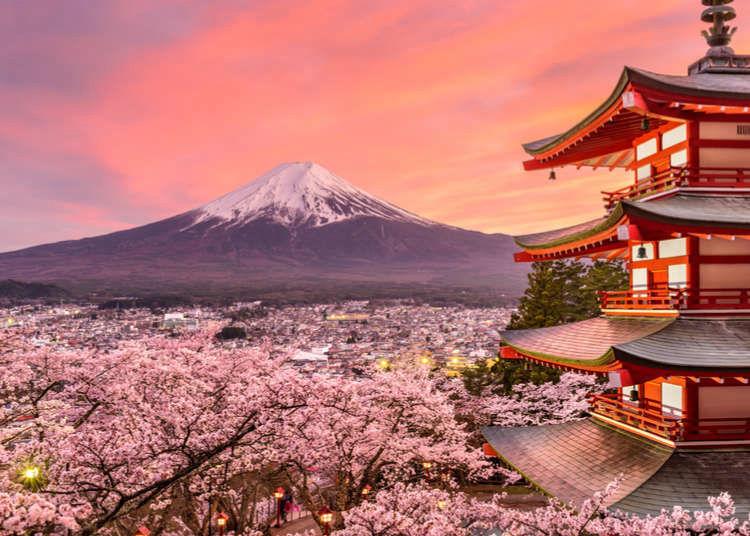 Japón